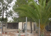 Xalet independent amb terreny en venda a la España, Elx, ref.: TR144066 foto
