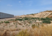 Urban land for sale on España, Beniel, ref: TR118543 photo
