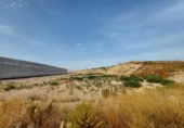 Urban land for sale on España, Beniel, ref: TR118543 photo