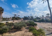 Casa de camp amb terreny en venda a la España, Elx, ref.: TR224381 foto