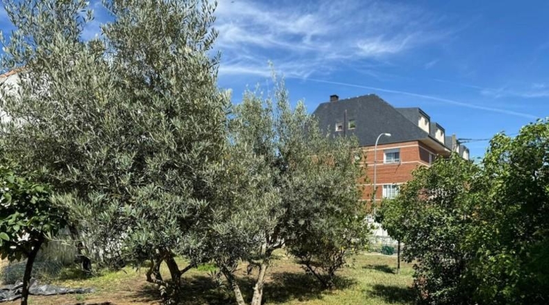 Comunidad de Madrid - Collado Villalba - 1000m2