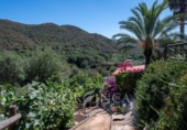 Detached villa with land for sale on España, Calonge, ref: TR358145 photo
