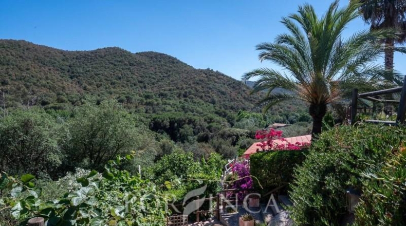 Gerona - Calonge - 2325m2