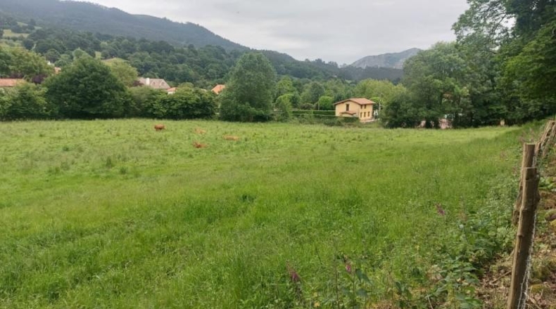 Cantabria - Coo - 13073m2