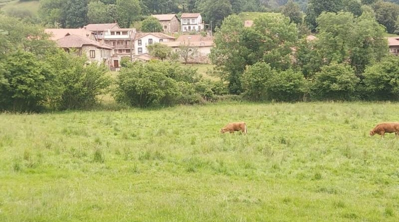 Cantabria - Coo - 13073m2