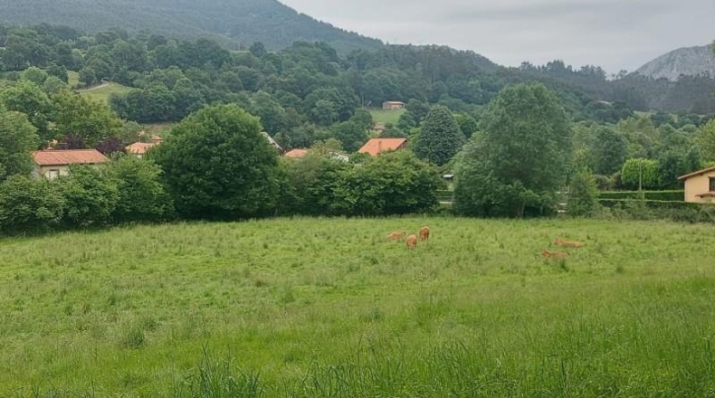 Cantabria - Coo - 13073m2