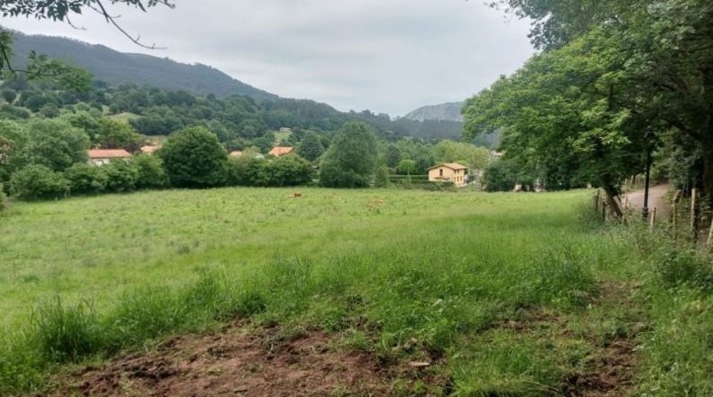 Cantabria - Coo - 13073m2