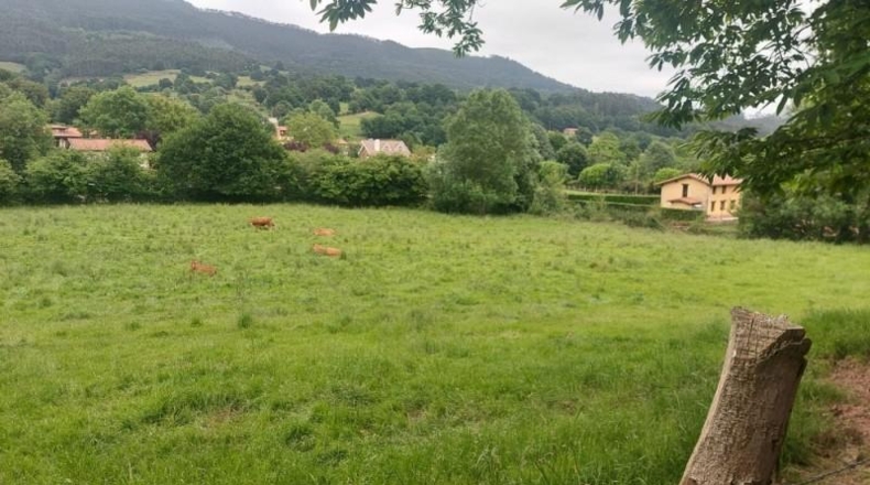 Cantabria - Coo - 13073m2