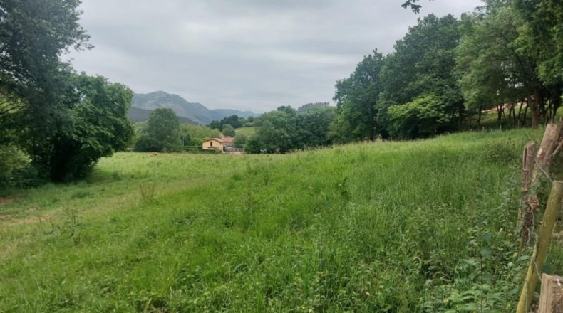 Cantabria - Coo - 13073m2