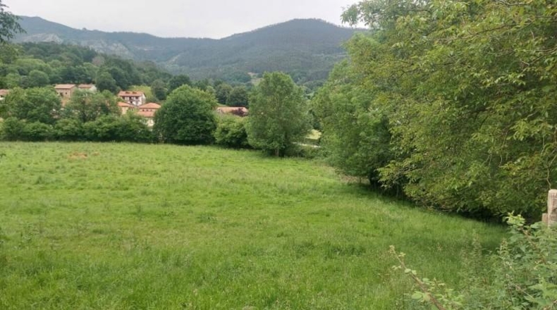 Cantabria - Coo - 13073m2
