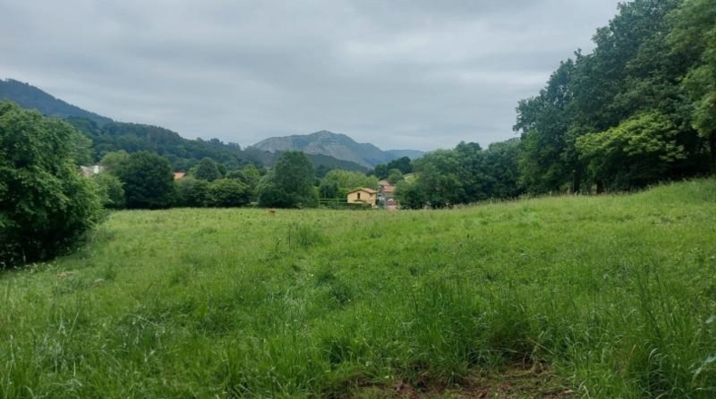 Cantabria - Coo - 13073m2