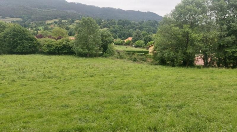 Cantabria - Coo - 13073m2