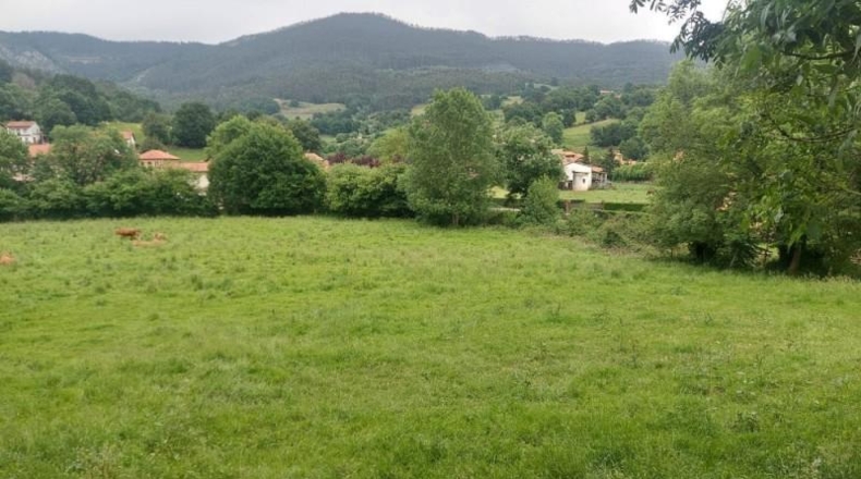 Cantabria - Coo - 13073m2