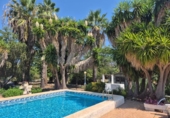 Detached villa with land for sale on España, Oliva, ref: TR325039 photo