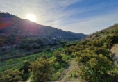 Parcel·la urbanitzable en venda a la España, La Herradura, ref.: TR129097 foto