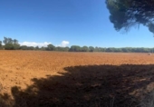 Terreny no urbanitzable en venda a la España, Vejer de la Frontera, ref.: TR172176 foto