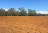 Terreny no urbanitzable en venda a la España, Vejer de la Frontera, ref.: TR172176 foto