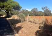 Terreny no urbanitzable en venda a la España, Vejer de la Frontera, ref.: TR172176 foto