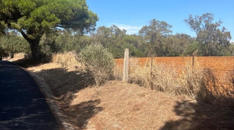 Cádiz - Vejer de la Frontera - 40000m2
