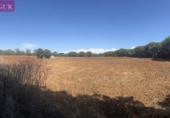 Terreny no urbanitzable en venda a la España, Vejer de la Frontera, ref.: TR172176 foto