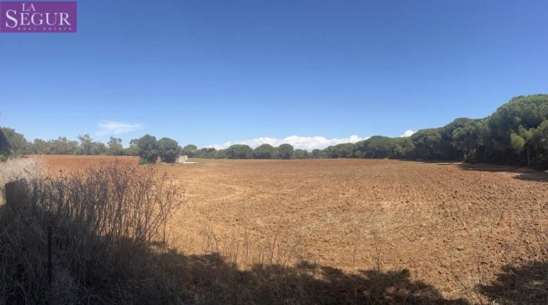 Cádiz - Vejer de la Frontera - 40000m2