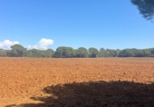 Terreny no urbanitzable en venda a la España, Vejer de la Frontera, ref.: TR172176 foto