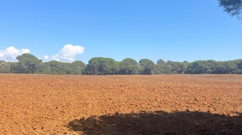 Cádiz - Vejer de la Frontera - 40000m2