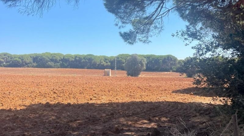 Cádiz - Vejer de la Frontera - 40000m2