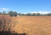 Terreny no urbanitzable en venda a la España, Vejer de la Frontera, ref.: TR172176 foto