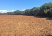 Terreny no urbanitzable en venda a la España, Vejer de la Frontera, ref.: TR172176 foto