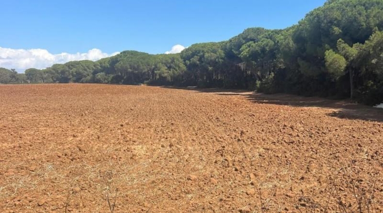Cádiz - Vejer de la Frontera - 40000m2
