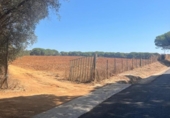 Terreny no urbanitzable en venda a la España, Vejer de la Frontera, ref.: TR172176 foto