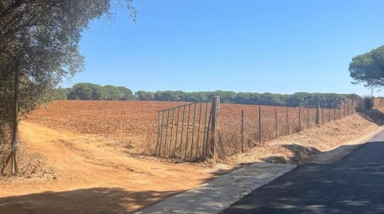 Cádiz - Vejer de la Frontera - 40000m2
