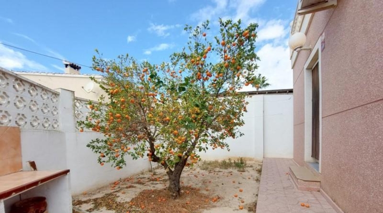 Alicante - Elche - 800m2