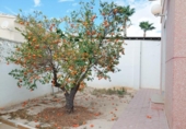 Xalet independent amb terreny en venda a la España, Elx, ref.: TR156659 foto