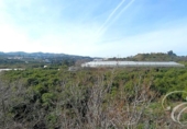 Casa de camp amb terreny en venda a la España, Vélez-Málaga, ref.: TR156666 foto