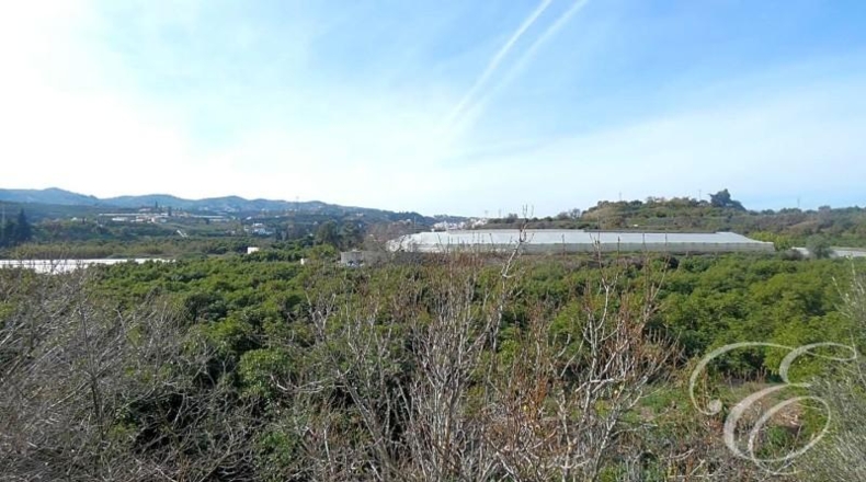 Málaga - Vélez-Málaga - 51686m2