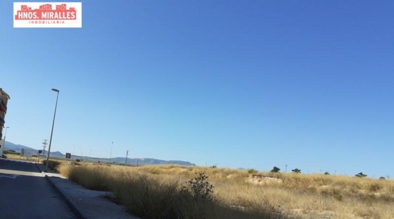 Alicante - Pinoso - 3200m2
