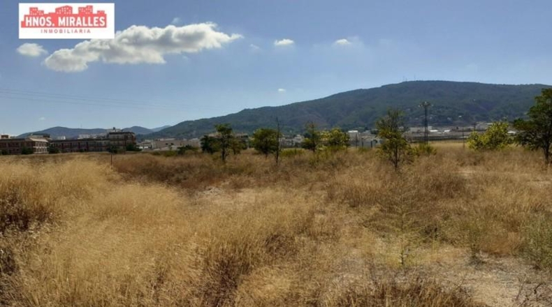 Alicante - Pinoso - 3200m2