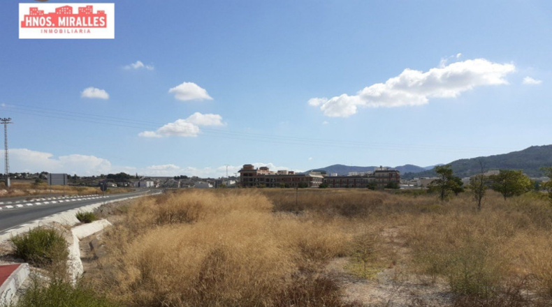 Alicante - Pinoso - 3200m2