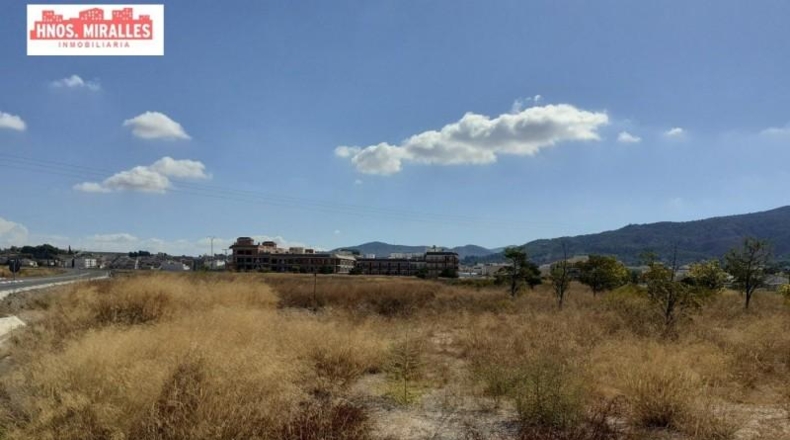 Alicante - Pinoso - 3200m2