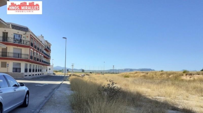 Alicante - Pinoso - 3200m2