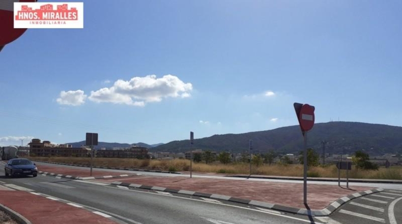 Alicante - Pinoso - 3200m2