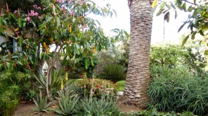Córdoba - Córdoba - 800m2