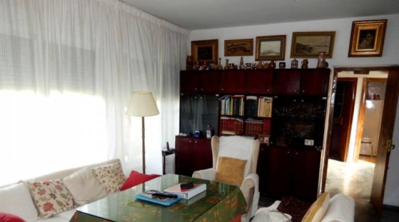 Córdoba - Córdoba - 800m2