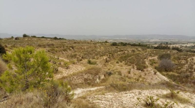 Valencia - Bélgida - 344000m2