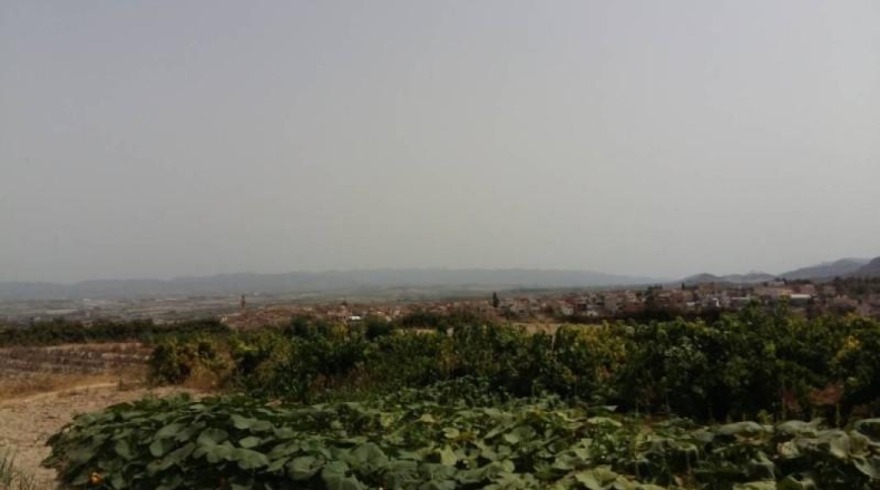 Valencia - Bélgida - 344000m2