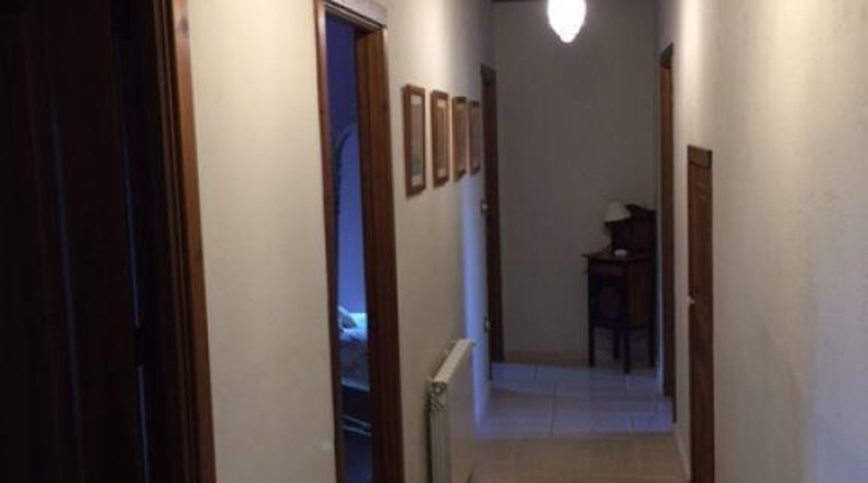 Alicante - Novelda - 10000m2