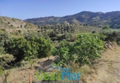 Country house with land for sale on España, Almuñécar, ref: TR141139 photo