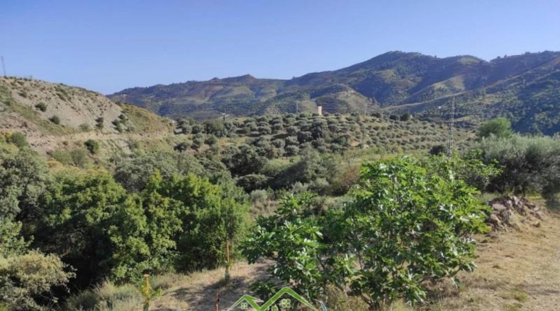 Granada - Almuñécar - 53000m2